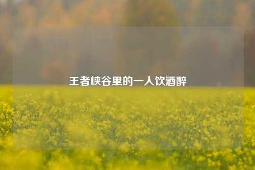 王者峡谷里的一人饮酒醉