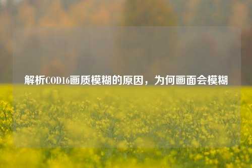 解析COD16画质模糊的原因,为何画面会模糊