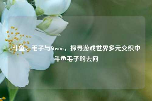 斗鱼、毛子与Steam，探寻游戏世界多元交织中斗鱼毛子的去向