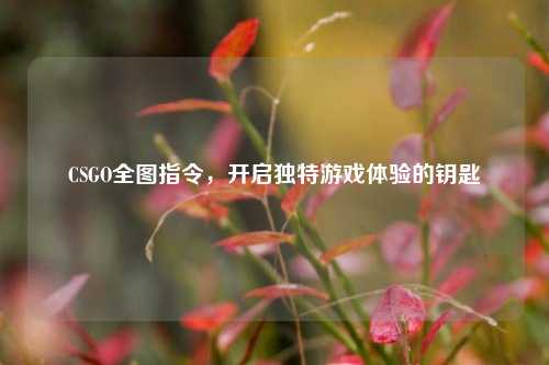 CSGO全图指令，开启独特游戏体验的钥匙