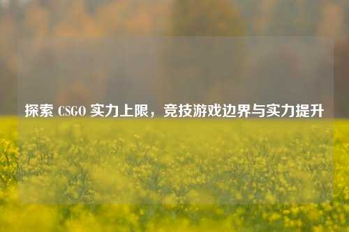 探索 CSGO 实力上限,竞技游戏边界与实力提升