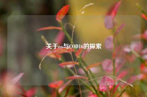 关于eo与COD16的探索