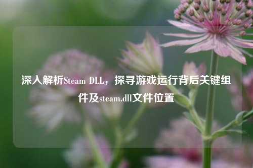 深入解析Steam DLL,探寻游戏运行背后关键组件及steam.dll文件位置