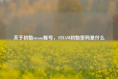 关于初始steam账号，STEAM初始密码是什么