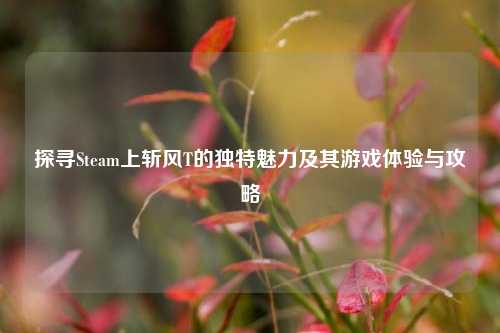 探寻Steam上斩风T的独特魅力及其游戏体验与攻略