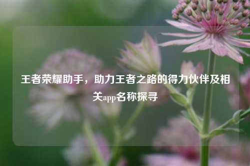 王者荣耀助手,助力王者之路的得力伙伴及相关app名称探寻