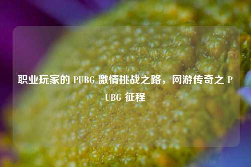 职业玩家的 PUBG 激情挑战之路,网游传奇之 PUBG 征程