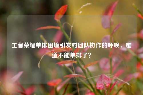 王者荣耀单排困境引发对团队协作的呼唤，难道不能单排了？
