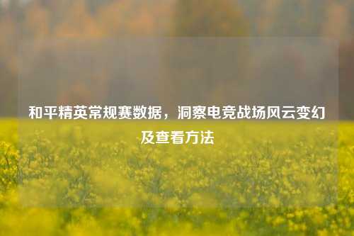 和平精英常规赛数据,洞察电竞战场风云变幻及查看方法