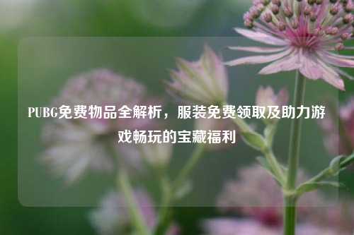 PUBG免费物品全解析，服装免费领取及助力游戏畅玩的宝藏福利