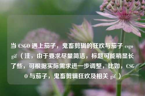 当 CSGO 遇上茄子,鬼畜剪辑的狂欢与茄子 csgo gif (注,由于要求尽量简洁,标题可能稍显长了些,可根据实际需求进一步调整,比如,CSGO 与茄子,鬼畜剪辑狂欢及相关 gif )