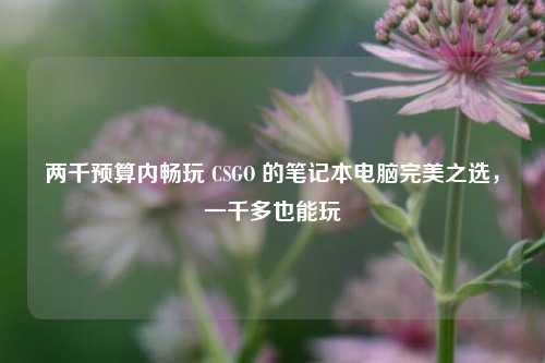 两千预算内畅玩 CSGO 的笔记本电脑完美之选，一千多也能玩