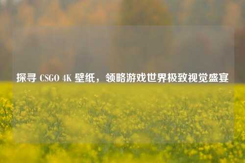 探寻 CSGO 4K 壁纸，领略游戏世界极致视觉盛宴