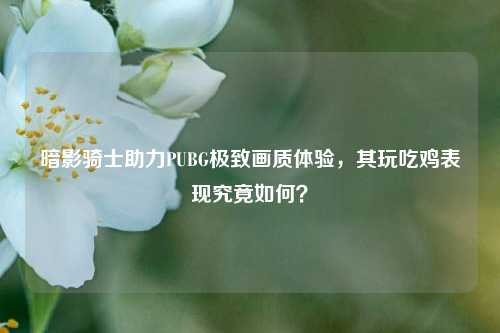 暗影骑士助力PUBG极致画质体验，其玩吃鸡表现究竟如何？