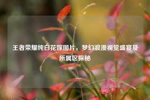 王者荣耀纯白花嫁图片,梦幻浪漫视觉盛宴及所属区探秘