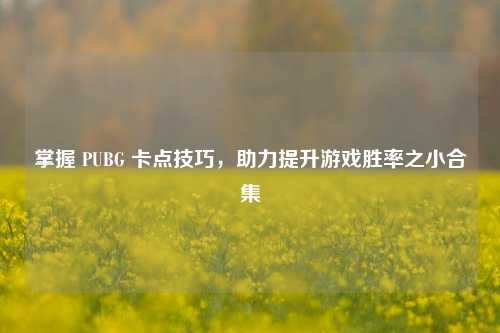 掌握 PUBG 卡点技巧,助力提升游戏胜率之小合集