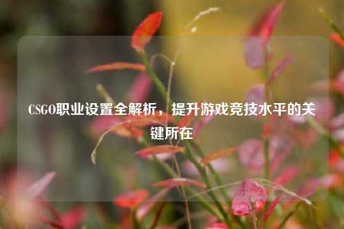 CSGO职业设置全解析，提升游戏竞技水平的关键所在