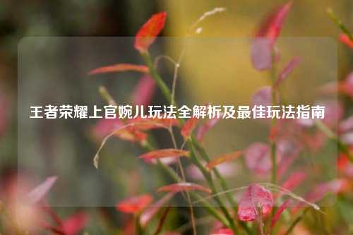 王者荣耀上官婉儿玩法全解析及最佳玩法指南