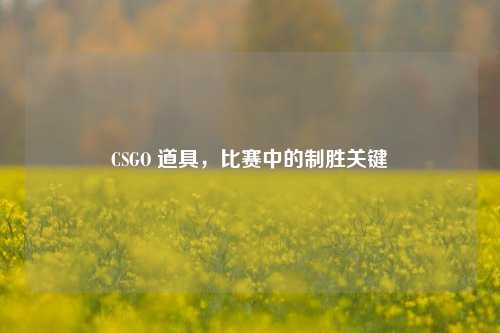 CSGO 道具，比赛中的制胜关键