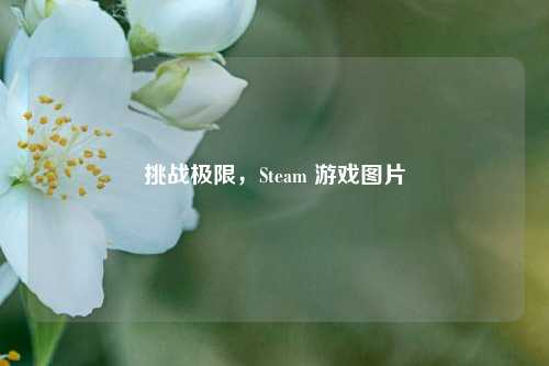 挑战极限，Steam 游戏图片