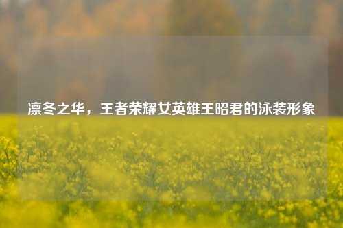 凛冬之华,王者荣耀女英雄王昭君的泳装形象