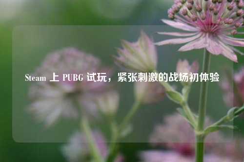 Steam 上 PUBG 试玩，紧张刺激的战场初体验