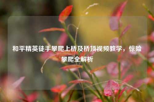 和平精英徒手攀爬上桥及桥顶视频教学,惊险攀爬全解析