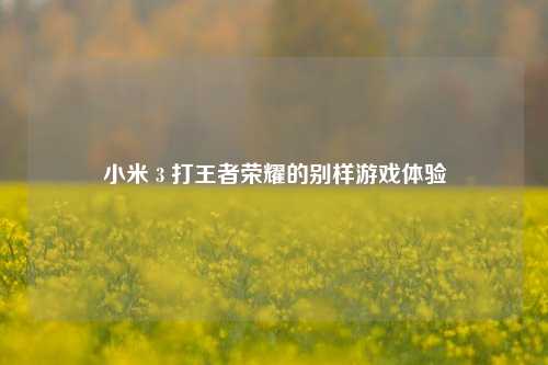 小米 3 打王者荣耀的别样游戏体验