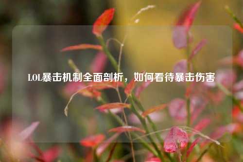 LOL暴击机制全面剖析,如何看待暴击伤害