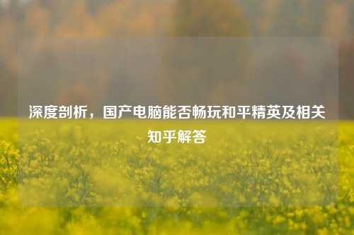 深度剖析，国产电脑能否畅玩和平精英及相关知乎解答