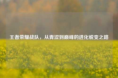 王者荣耀战队,从青涩到巅峰的进化蜕变之路