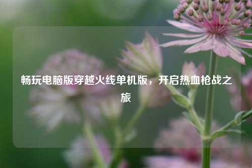 畅玩电脑版穿越火线单机版，开启热血枪战之旅