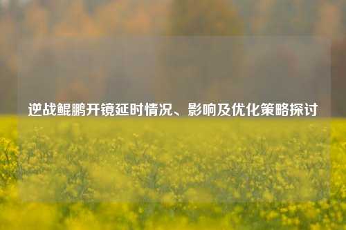逆战鲲鹏开镜延时情况、影响及优化策略探讨
