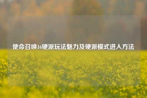 使命召唤16硬派玩法魅力及硬派模式进入方法