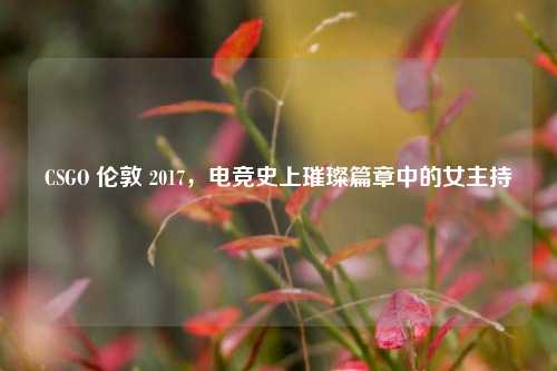CSGO 伦敦 2017，电竞史上璀璨篇章中的女主持