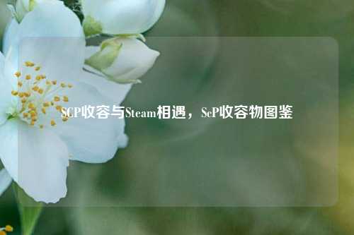 SCP收容与Steam相遇，ScP收容物图鉴