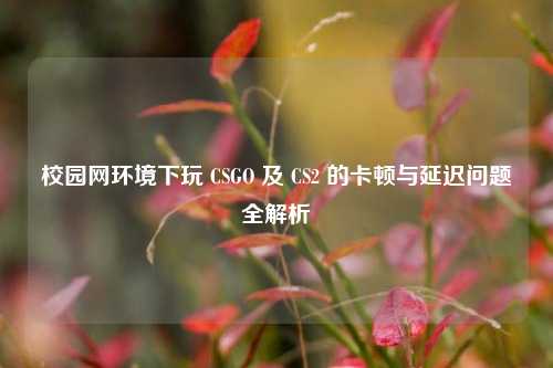 校园网环境下玩 CSGO 及 CS2 的卡顿与延迟问题全解析