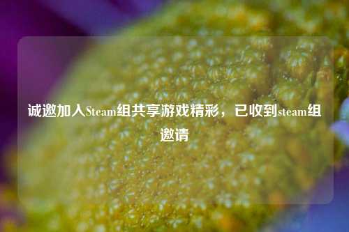 诚邀加入Steam组共享游戏精彩,已收到steam组邀请