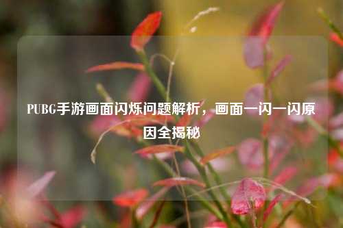 PUBG手游画面闪烁问题解析,画面一闪一闪原因全揭秘