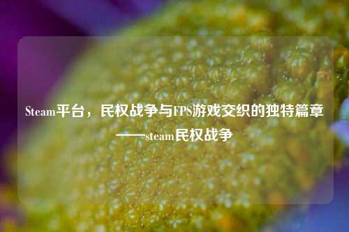Steam平台，民权战争与FPS游戏交织的独特篇章——steam民权战争