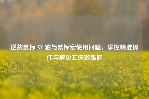 逆战鼠标 XY 轴与鼠标宏使用问题,掌控精准操作与解决宏失效难题