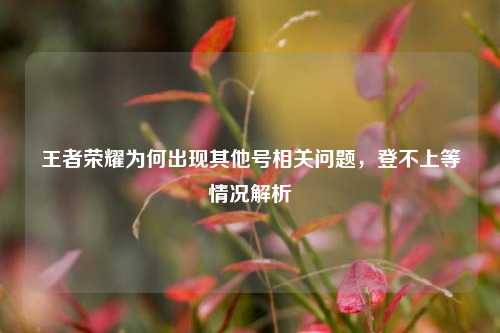 王者荣耀为何出现其他号相关问题，登不上等情况解析