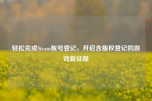 轻松完成Steam账号登记,开启含版权登记的游戏新征程