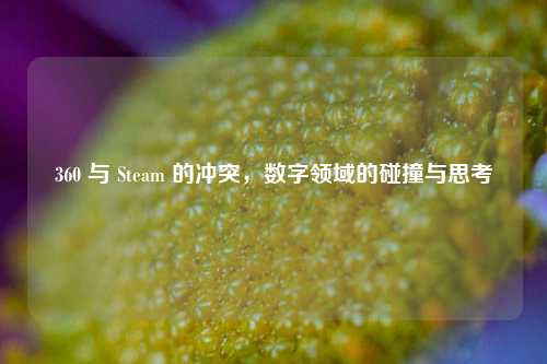 360 与 Steam 的冲突，数字领域的碰撞与思考