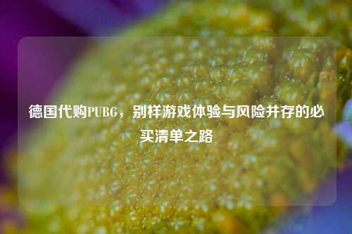 德国代购PUBG，别样游戏体验与风险并存的必买清单之路