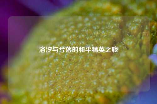 洛汐与兮落的和平精英之旅
