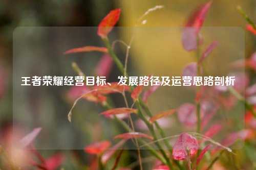 王者荣耀经营目标、发展路径及运营思路剖析