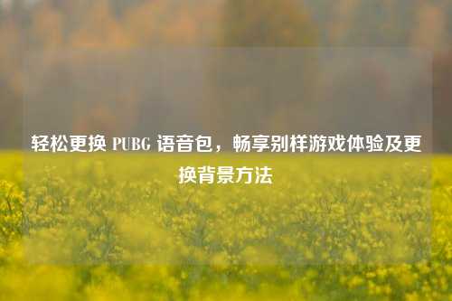 轻松更换 PUBG 语音包,畅享别样游戏体验及更换背景方法