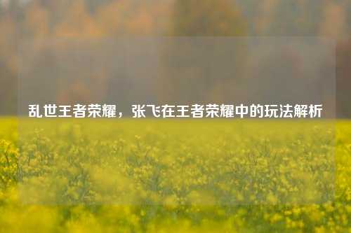 乱世王者荣耀,张飞在王者荣耀中的玩法解析