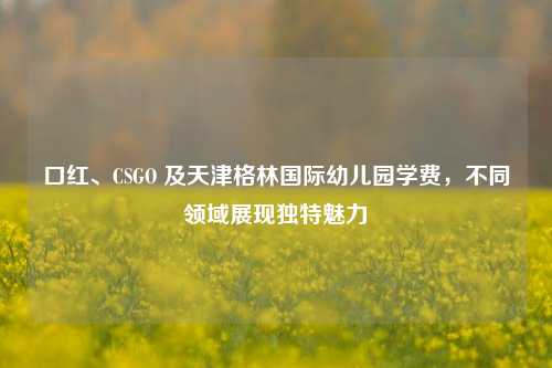 口红、CSGO 及天津格林国际幼儿园学费，不同领域展现独特魅力